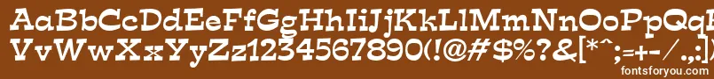 Expo Font – White Fonts on Brown Background