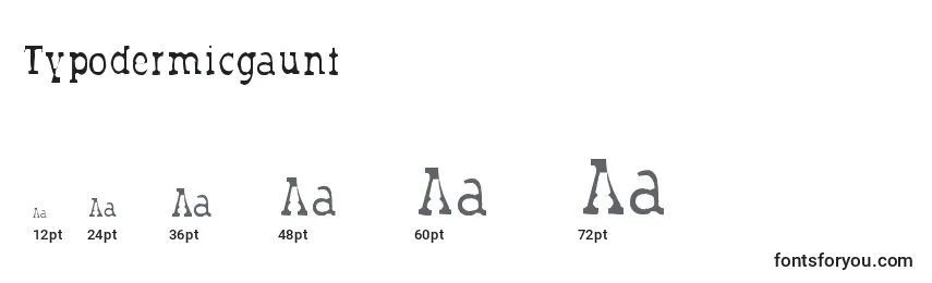 Размеры шрифта Typodermicgaunt