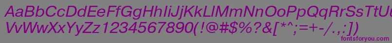 PragmaticaBookItalic Font – Purple Fonts on Gray Background