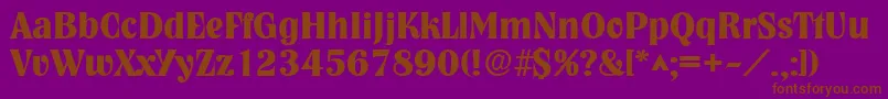 NashvillelhBold Font – Brown Fonts on Purple Background