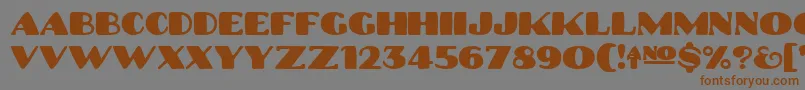 Platinum Hub Caps Solid Font – Brown Fonts on Gray Background