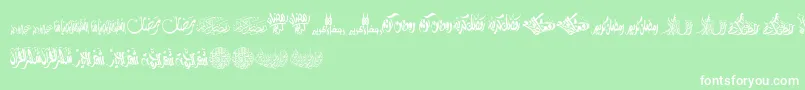 Шрифт FelicitationArabicRamadan – белые шрифты на зелёном фоне