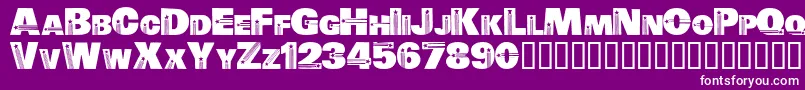 Electiontime Font – White Fonts on Purple Background