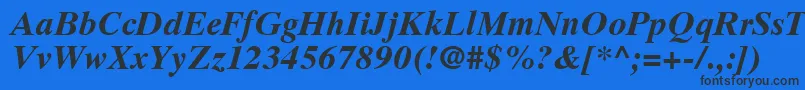 GrecoTenSsiBoldItalic Font – Black Fonts on Blue Background