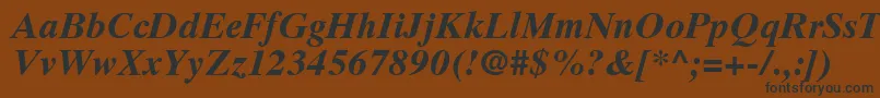 フォントGrecoTenSsiBoldItalic – 黒い文字が茶色の背景にあります