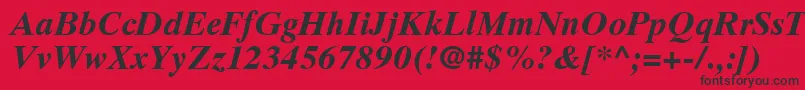 GrecoTenSsiBoldItalic Font – Black Fonts on Red Background