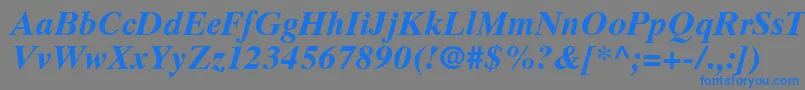 GrecoTenSsiBoldItalic Font – Blue Fonts on Gray Background