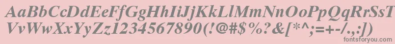 GrecoTenSsiBoldItalic Font – Gray Fonts on Pink Background