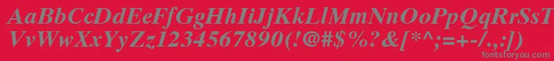 GrecoTenSsiBoldItalic Font – Gray Fonts on Red Background