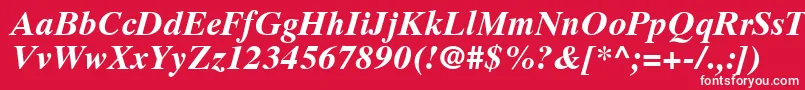 フォントGrecoTenSsiBoldItalic – 赤い背景に白い文字