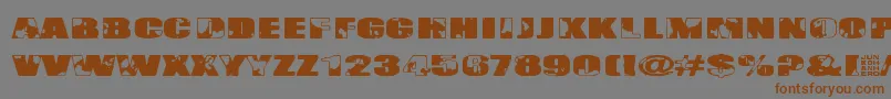 Singapore Font – Brown Fonts on Gray Background