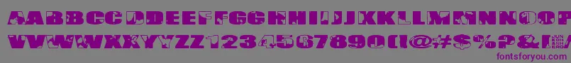 Singapore Font – Purple Fonts on Gray Background