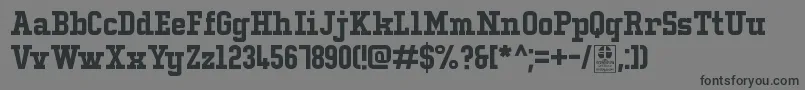 フォントTypoCollegeLcDemo – 黒い文字の灰色の背景
