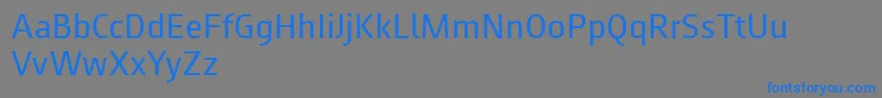 Augustsans55regular Font – Blue Fonts on Gray Background