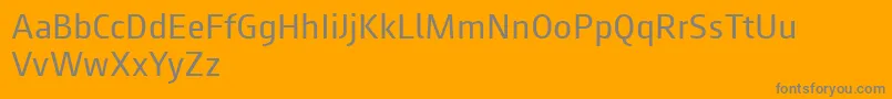 Augustsans55regular Font – Gray Fonts on Orange Background