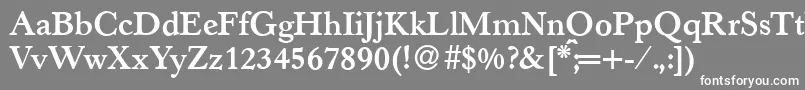 H790RomanBold Font – White Fonts on Gray Background