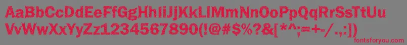 Funky36Bold Font – Red Fonts on Gray Background