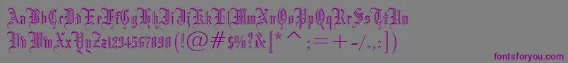 Blackletter686Bt-Schriftart – Violette Schriften auf grauem Hintergrund