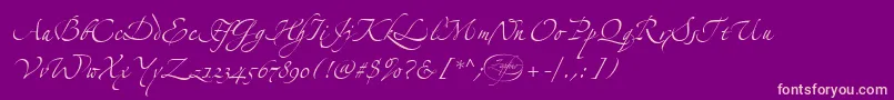 LinotypezapfinoTwo Font – Pink Fonts on Purple Background