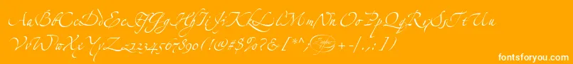 LinotypezapfinoTwo Font – White Fonts on Orange Background