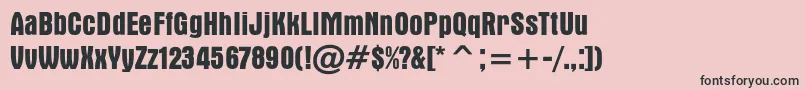 ApicalcBold Font – Black Fonts on Pink Background