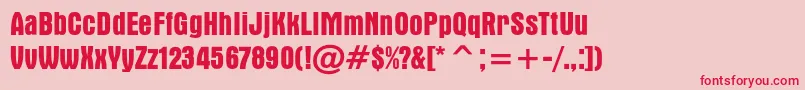 ApicalcBold Font – Red Fonts on Pink Background