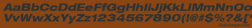 Heaveneticaextd8Hvyoblsh Font – Black Fonts on Brown Background