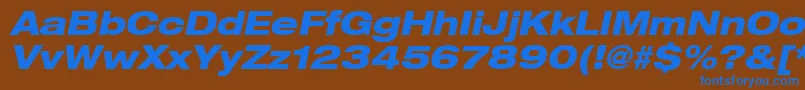 Heaveneticaextd8Hvyoblsh Font – Blue Fonts on Brown Background