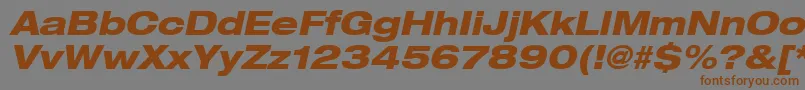 Heaveneticaextd8Hvyoblsh Font – Brown Fonts on Gray Background