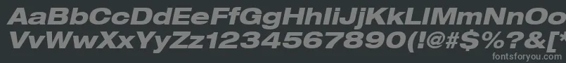 Heaveneticaextd8Hvyoblsh Font – Gray Fonts on Black Background