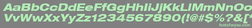 Heaveneticaextd8Hvyoblsh Font – Green Fonts on Gray Background