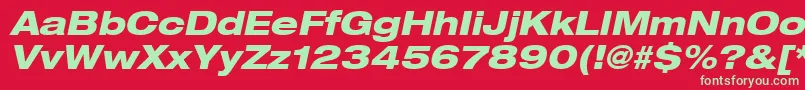 Heaveneticaextd8Hvyoblsh Font – Green Fonts on Red Background