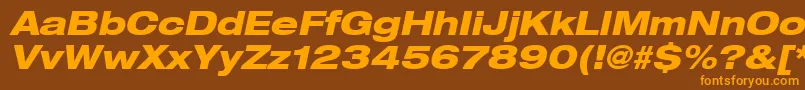 Heaveneticaextd8Hvyoblsh Font – Orange Fonts on Brown Background