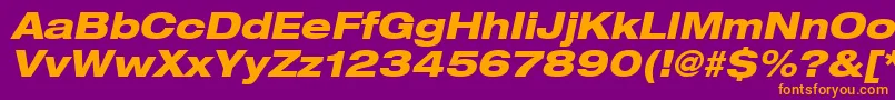 Heaveneticaextd8Hvyoblsh Font – Orange Fonts on Purple Background