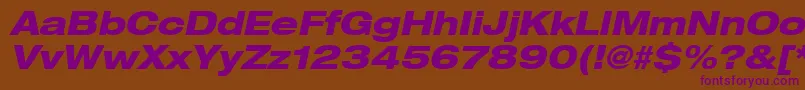 Heaveneticaextd8Hvyoblsh Font – Purple Fonts on Brown Background