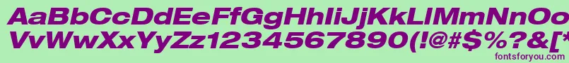 Heaveneticaextd8Hvyoblsh Font – Purple Fonts on Green Background