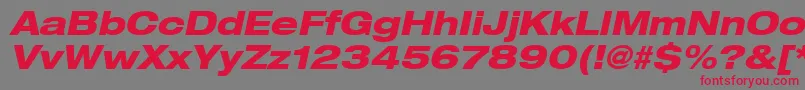 Heaveneticaextd8Hvyoblsh Font – Red Fonts on Gray Background