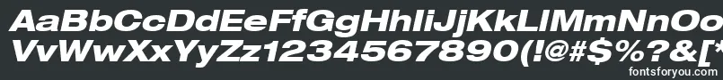 Heaveneticaextd8Hvyoblsh Font – White Fonts on Black Background
