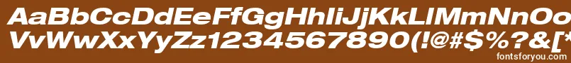Heaveneticaextd8Hvyoblsh Font – White Fonts on Brown Background