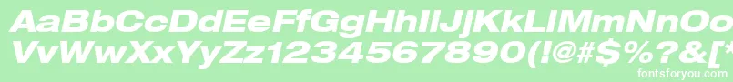 Heaveneticaextd8Hvyoblsh Font – White Fonts on Green Background