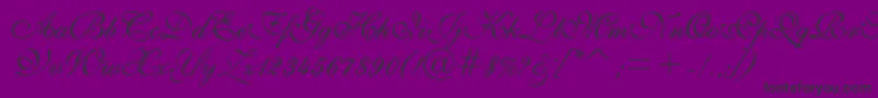 ShelleyVolanteBt-Schriftart – Schwarze Schriften auf violettem Hintergrund