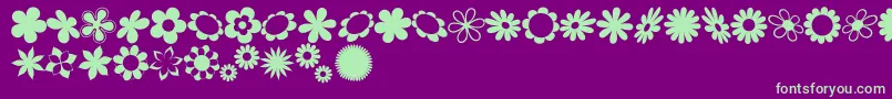 Sarus Font – Green Fonts on Purple Background