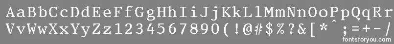 PrestigeeliteboldBold-Schriftart – Weiße Schriften auf grauem Hintergrund