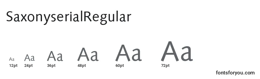 Размеры шрифта SaxonyserialRegular
