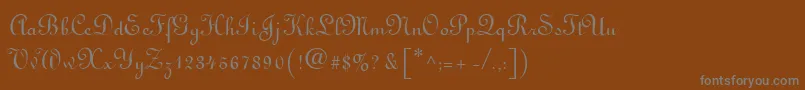 フォントLirusstygra – 茶色の背景に灰色の文字