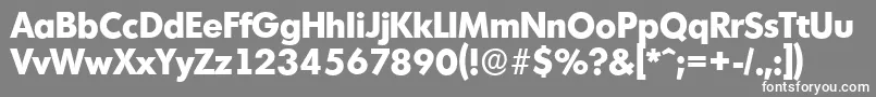MontrealserialXboldRegular Font – White Fonts on Gray Background