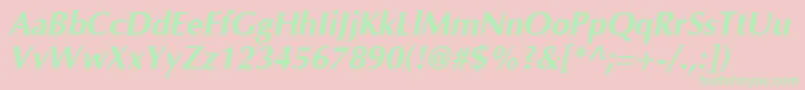 Optima Bolditalic Font – Green Fonts on Pink Background