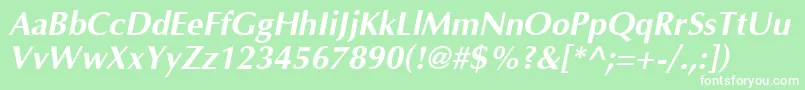 Optima Bolditalic Font – White Fonts on Green Background
