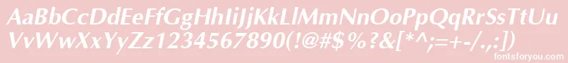 Optima Bolditalic Font – White Fonts on Pink Background