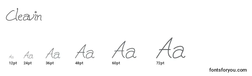 Cleavin Font Sizes